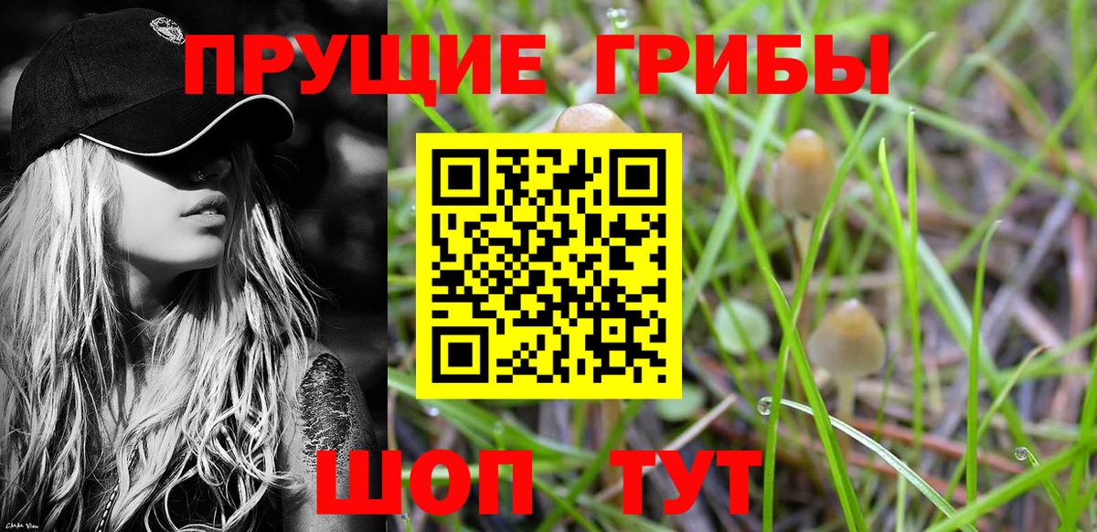 Галлюциногенные грибы Psilocybe Нефтеюганск