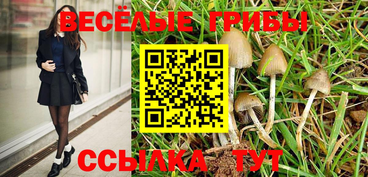 Галлюциногенные грибы Cubensis  Вход с VPN  Нефтеюганск 